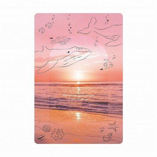 Multi - Purpose Transparent Card / RYU - RYU - bungu