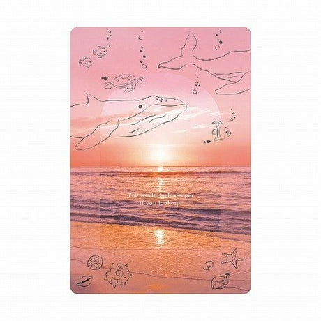 Multi - Purpose Transparent Card / RYU - RYU - bungu