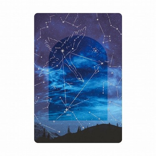 Multi - Purpose Transparent Card / RYU - RYU - bungu