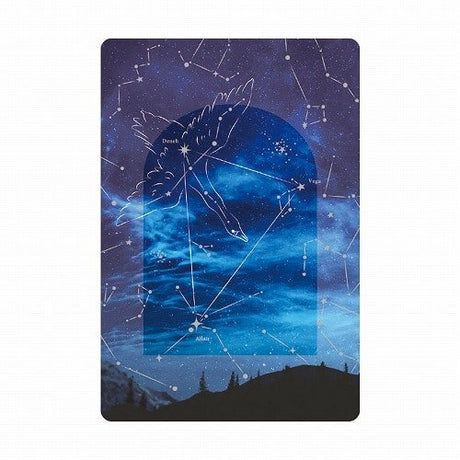Multi - Purpose Transparent Card / RYU - RYU - bungu
