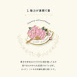 MY AWARD PiNS JAPAN Pin Badge / IROHA PUBLISHING - bungu