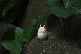 My Neighbor Totoro Shigarayaki Figurine with LED Light Studio Ghibli / Meizan Togyo - bungu