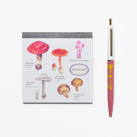 Mycology STUDY HOLIC Bundle / GreenFlash - bungu