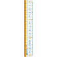 Nano Pita Kids Straight Ruler 15cm / Sonic - bungu