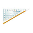 Nano Pita Kids Triangular Ruler 10cm / Sonic - bungu