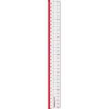 Nano Pita Reversible Ruler Set / Sonic - bungu