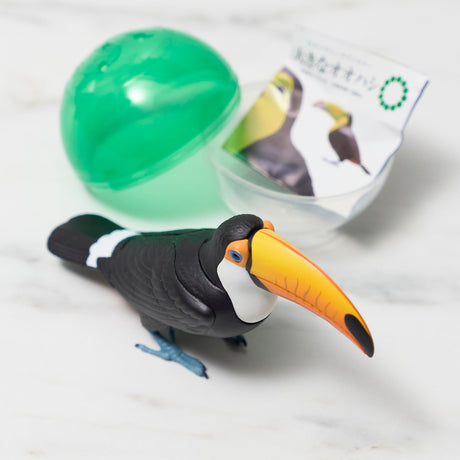 Nature Technicolor Large Toucan Gacha Capsule - bungu