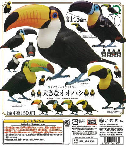 Nature Technicolor Large Toucan Gacha Capsule - bungu