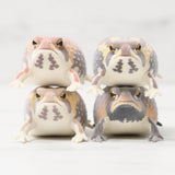 NTC FLOCKY Dirt - Covered Frogs Gacha Capsule - bungu