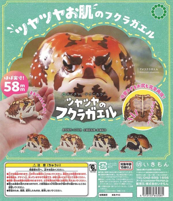 NTC Glossy - Skinned Chubby Frogs Gacha Capsule - bungu