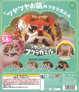 NTC Glossy - Skinned Chubby Frogs Gacha Capsule - bungu