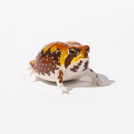 NTC Glossy - Skinned Chubby Frogs Gacha Capsule - bungu