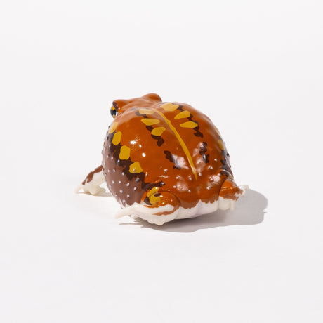 NTC Glossy - Skinned Chubby Frogs Gacha Capsule - bungu