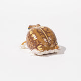 NTC Glossy - Skinned Chubby Frogs Gacha Capsule - bungu