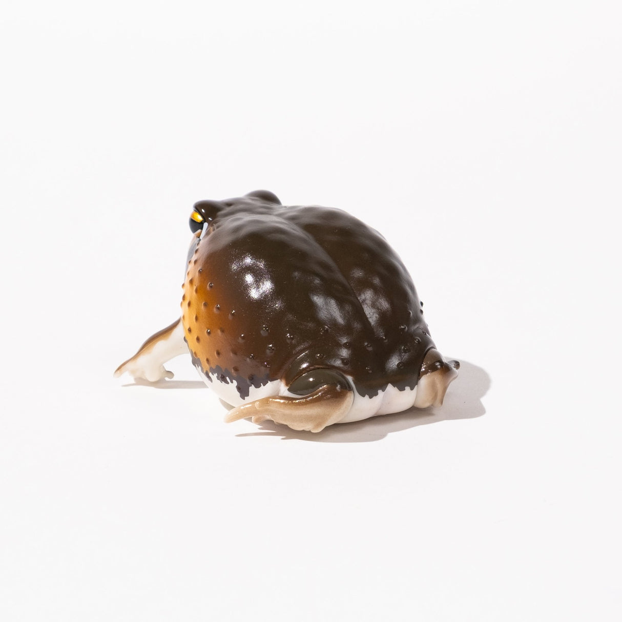 NTC Glossy - Skinned Chubby Frogs Gacha Capsule - bungu