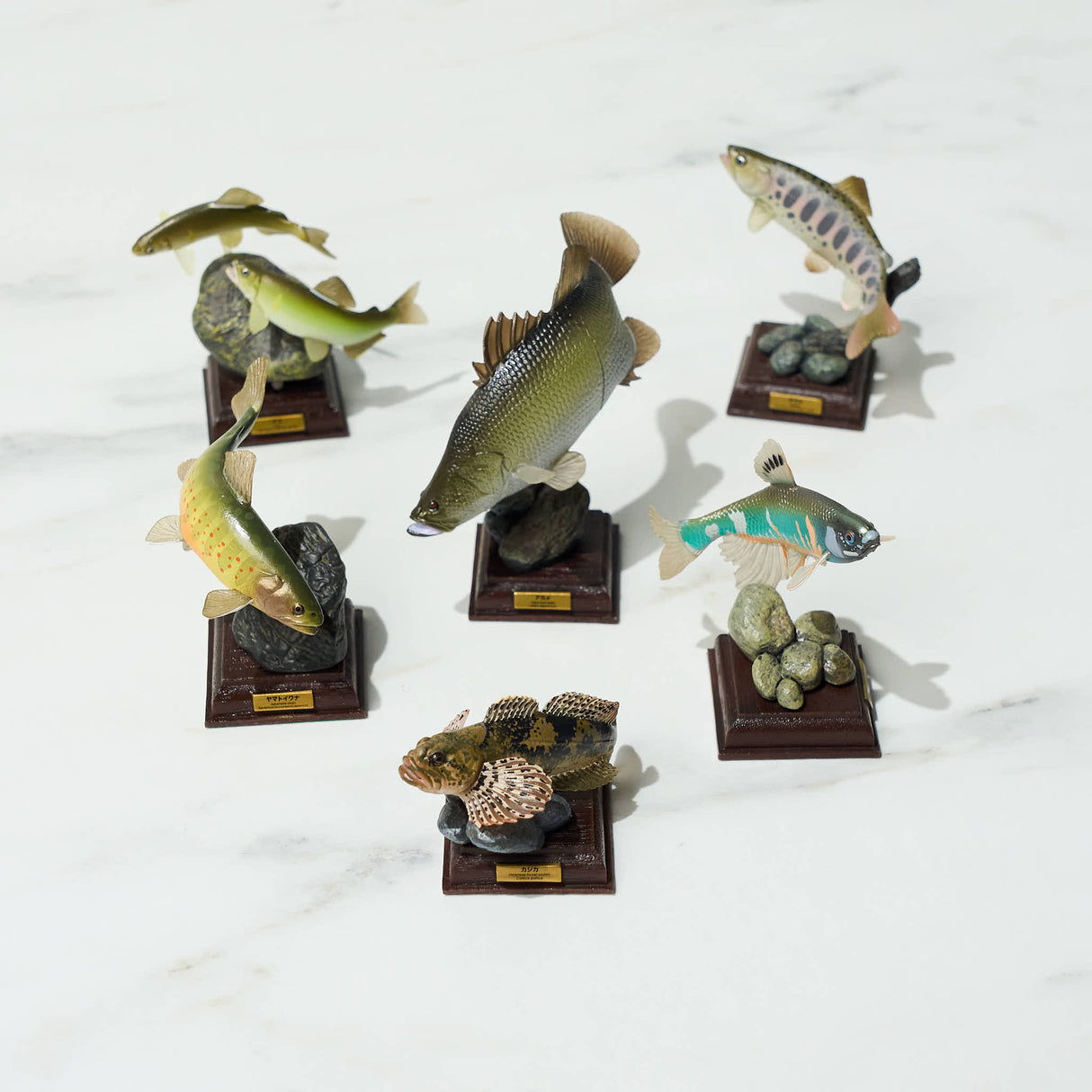 NTC Japanese Freshwater Fish Special Edition Gacha Capsule - bungu