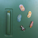 NTC MONO+ Nudibranch Figure Magnet Gacha Capsule - bungu