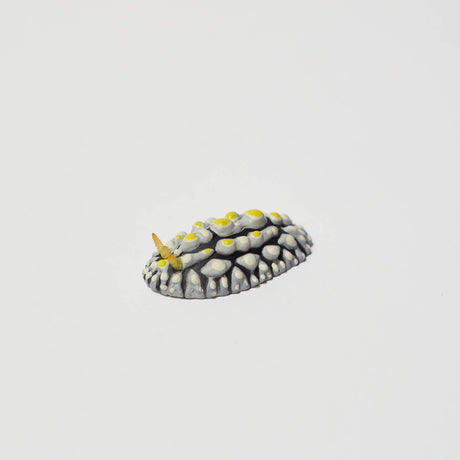 NTC MONO+ Nudibranch Figure Magnet Gacha Capsule - bungu