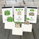 Pop - Up Houseplants Die - Cut Stand Memo Pad / Marumo Printing - bungu