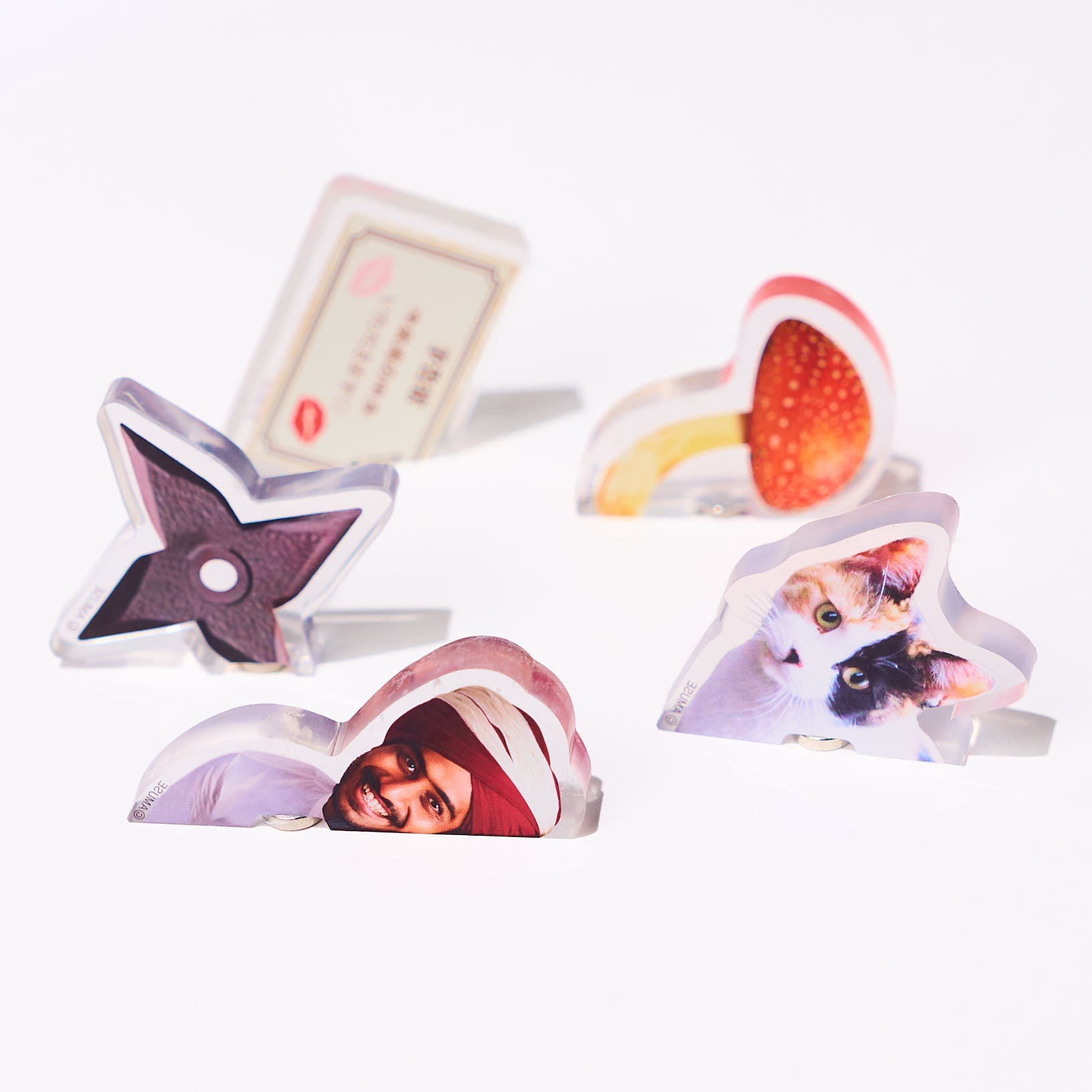 Popping Surprise Magnets Gacha Capsule – bungu