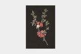 Art Touch Sasaki Megumi Floral Postcards / TOUCH & FLOW