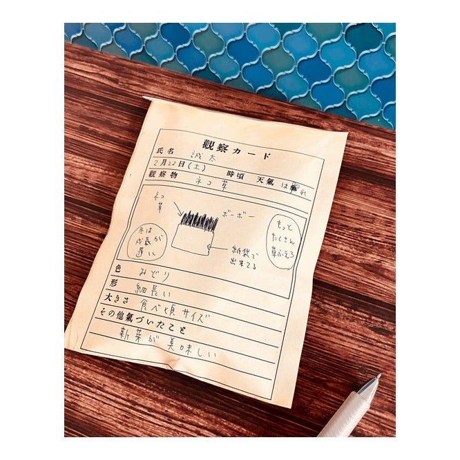 Retro Flat Paper Bags 10 - Pack / Kinokosya - bungu