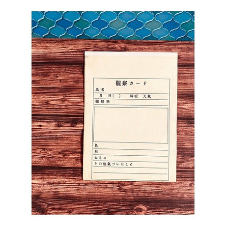 Retro Flat Paper Bags 10 - Pack / Kinokosya - bungu