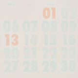 Risograph Wall Calendar 2025 / Letterpress Letters - bungu