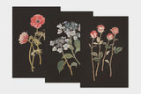Art Touch Sasaki Megumi Floral Postcards / TOUCH & FLOW