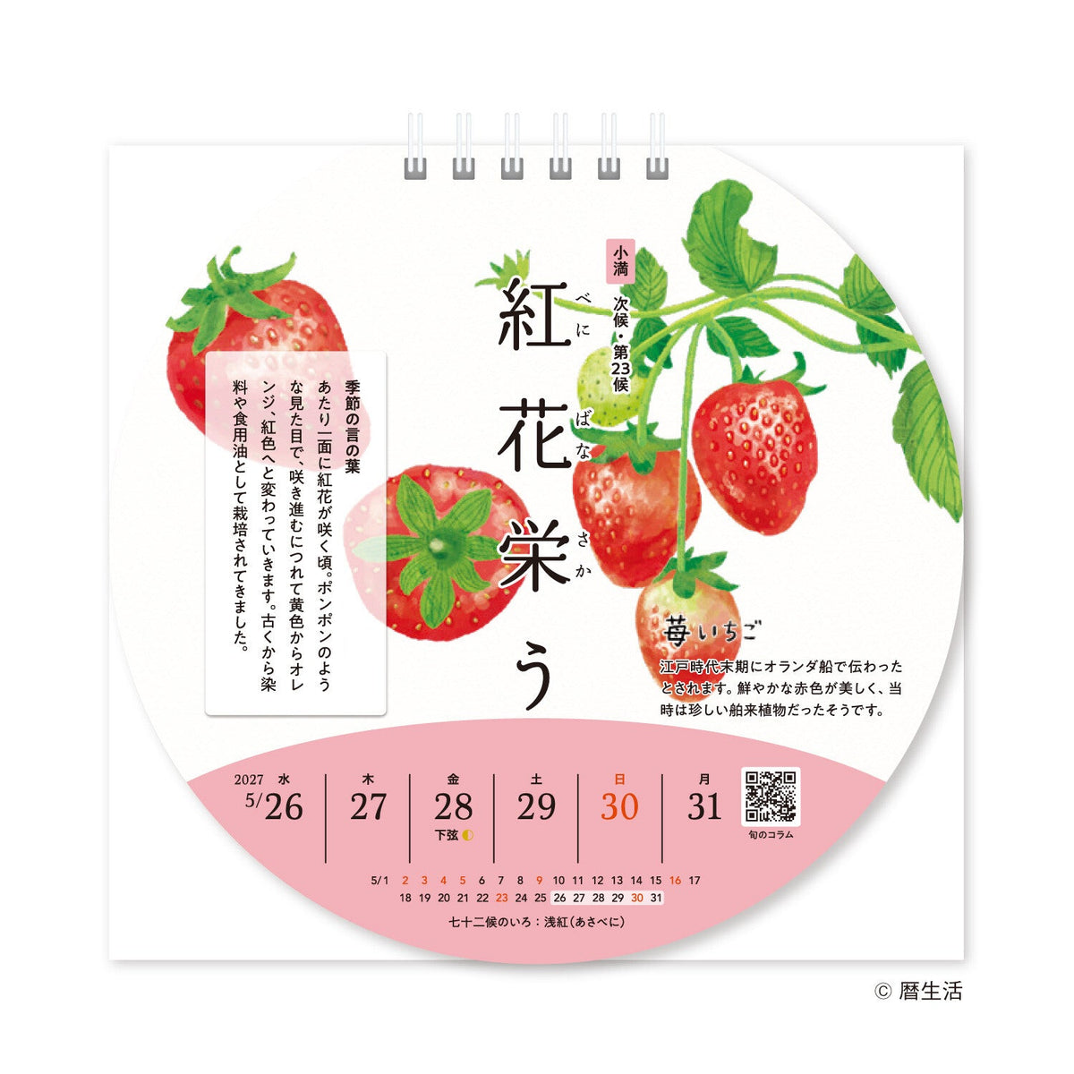 Savoring the Seasons 72 Seasons Desk Calendar 2027 / Shin Nihon Calendar - bungu