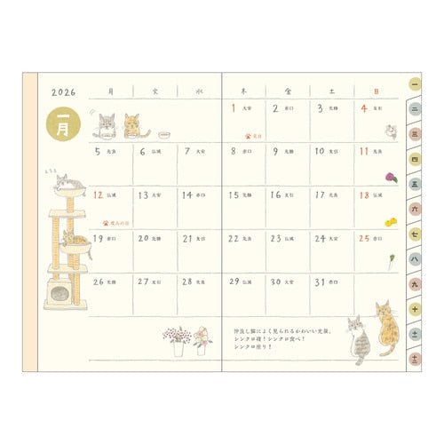 Sayo Koizumi Cat Pocket Diary 2026 / Midori DESIGNPHIL - bungu