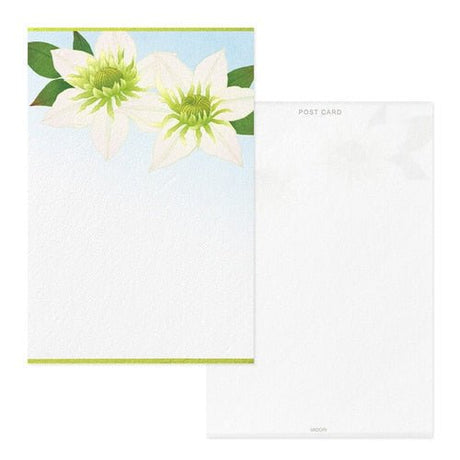 Seasons Summer Letter Postcard / Midori DESIGNPHIL - bungu