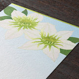 Seasons Summer Letter Postcard / Midori DESIGNPHIL - bungu