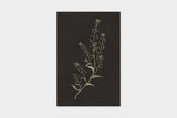 Art Touch Sasaki Megumi Floral Postcards / TOUCH & FLOW