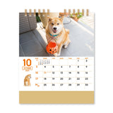 Shiba Inu Maru and a Walk Desk Calendar 2027 / Shin Nihon Calendar - bungu