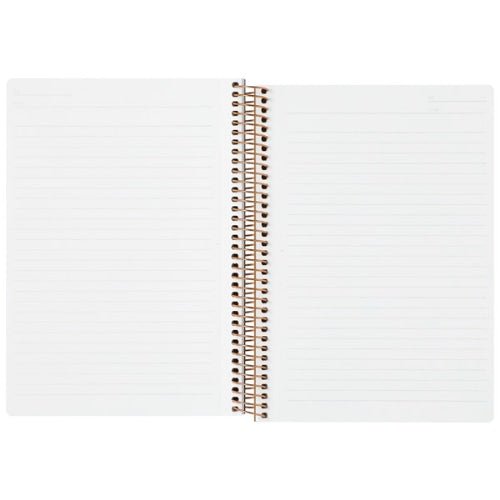 Spiral Notebook Basic 150 Pages / Maruman - bungu