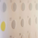 Michiru Moon Phase Wall Calendar 2027 / Replug