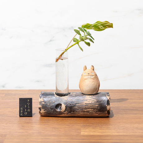 Studio Ghibli My Neighbor Totoro Kitchenware Bundle / Meizan Kiln - bungu