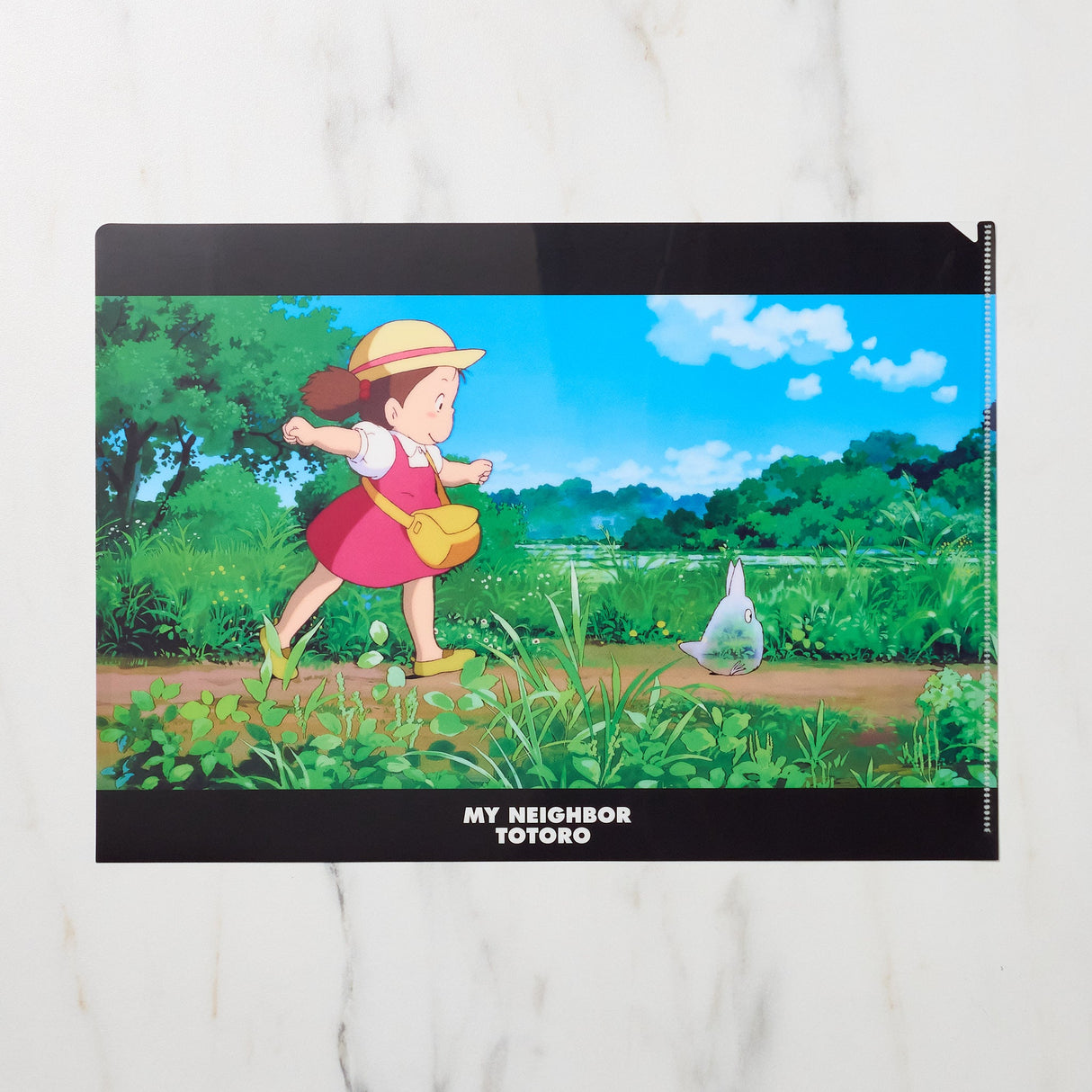 Studio Ghibli "My Neighbor Totoro" Scenes A4 Clear File Folder / Movic - bungu