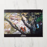 Studio Ghibli "Princess Mononoke" Scenes A4 Clear File Folder / Movic - bungu