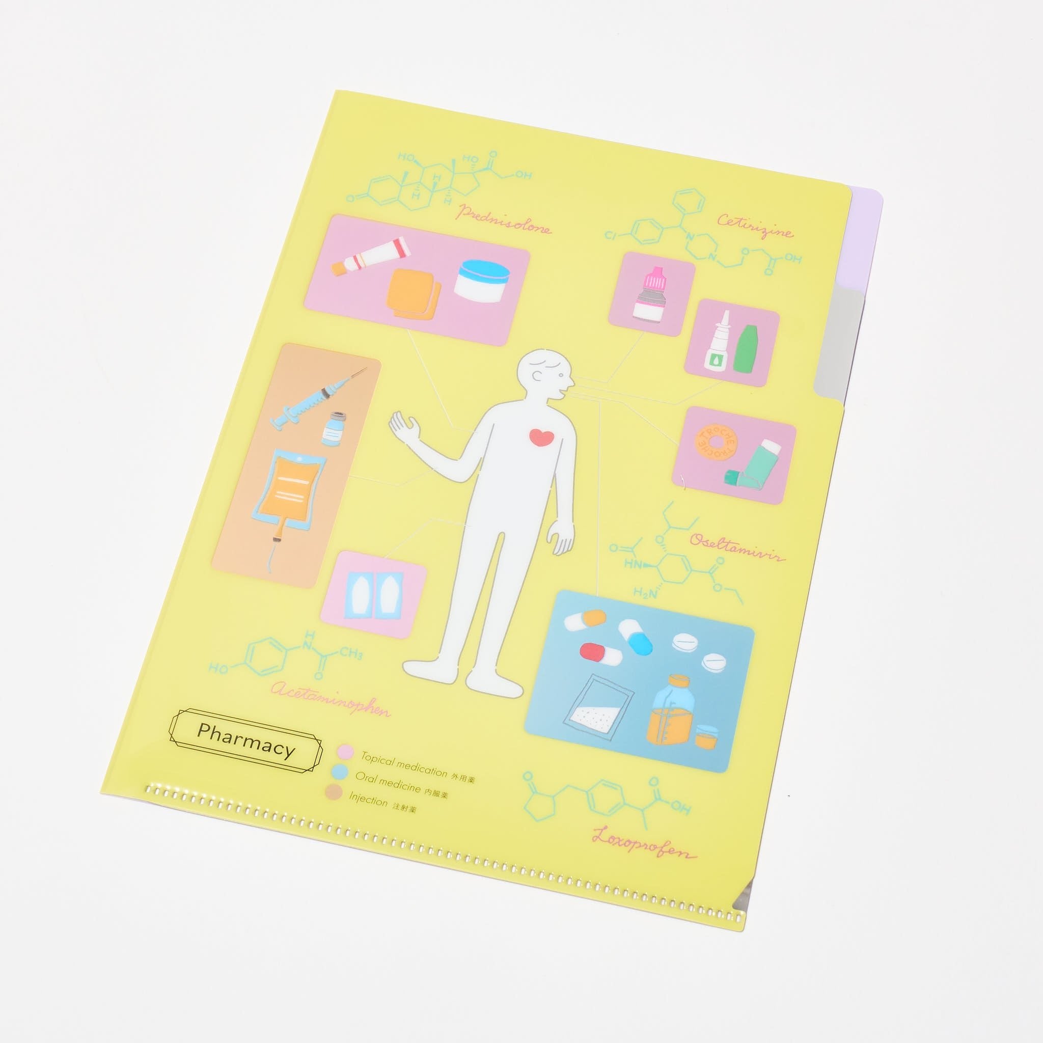 STUDY HOLIC A5 Pocket Clear File Folder / GreenFlash – bungu
