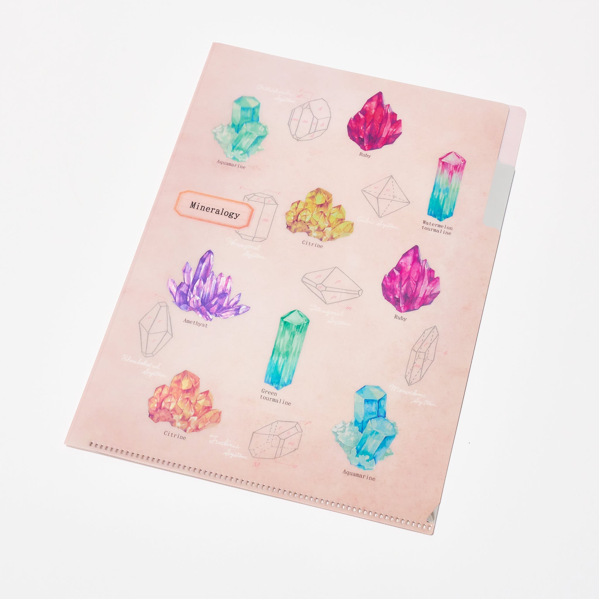STUDY HOLIC A5 Pocket Clear File Folder / GreenFlash – bungu