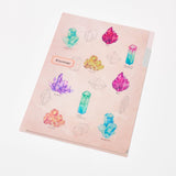 STUDY HOLIC A5 Pocket Clear File Folder / GreenFlash - bungu