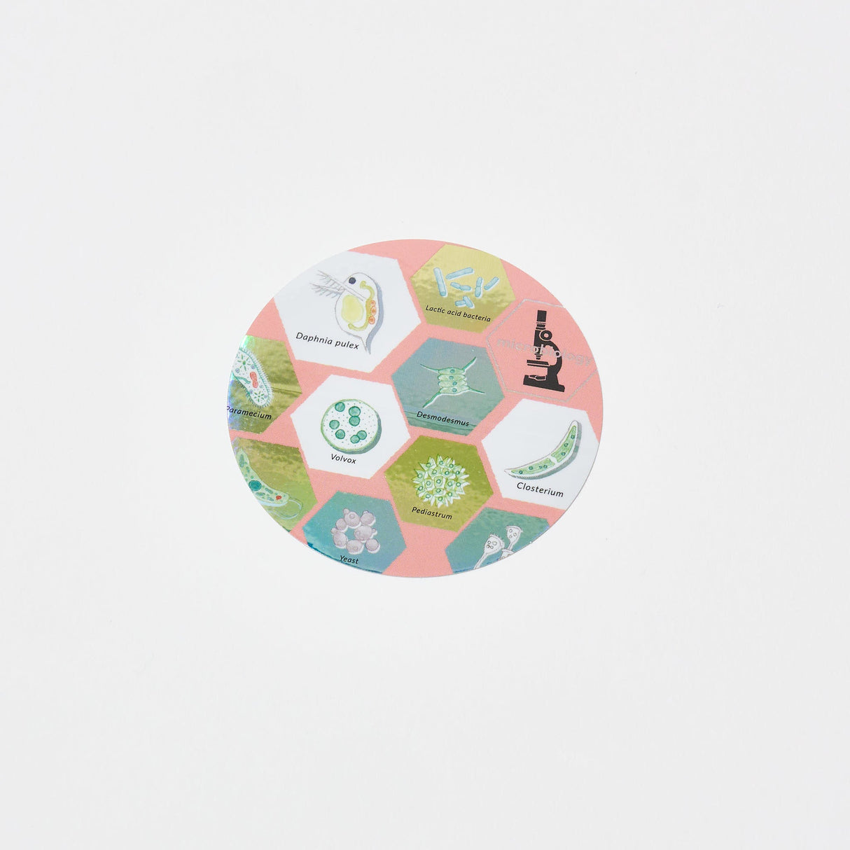 STUDY HOLIC Aurora Sticker / GreenFlash - bungu