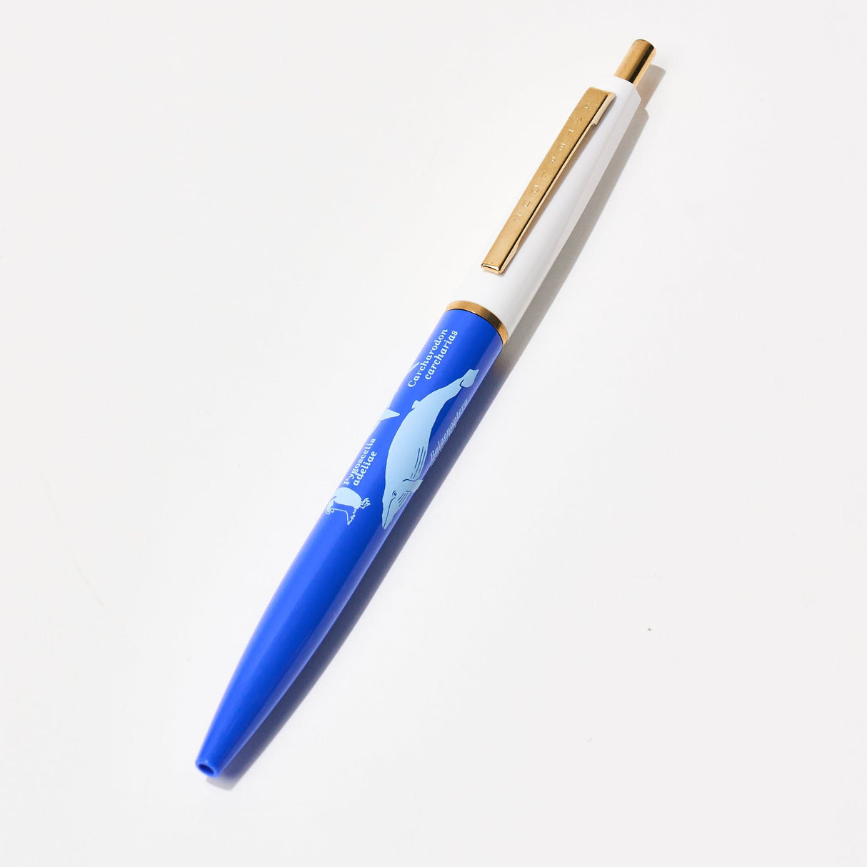 STUDY HOLIC Ballpoint Pen / GreenFlash - bungu