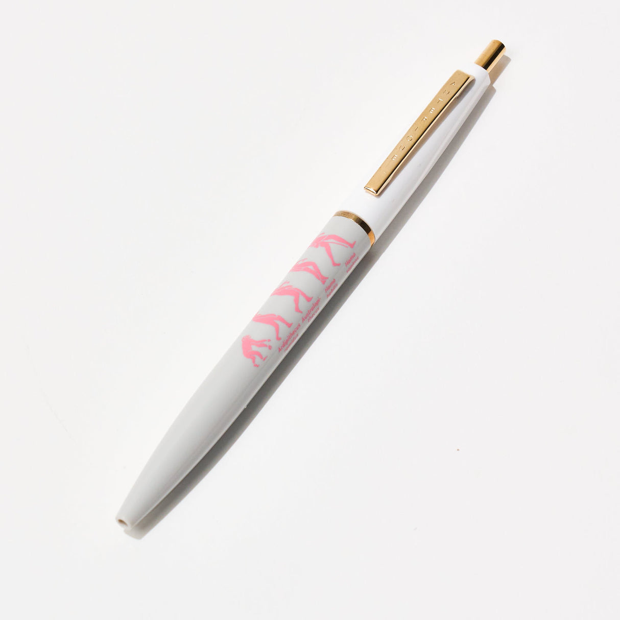 STUDY HOLIC Ballpoint Pen / GreenFlash - bungu