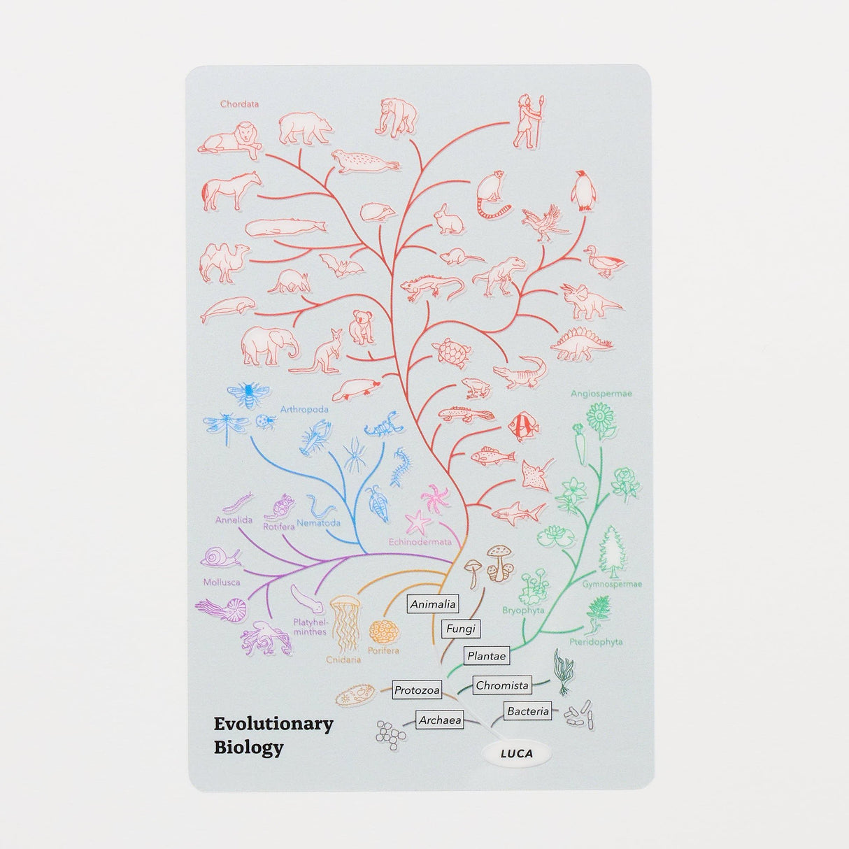 STUDY HOLIC Clear Bookmark / GreenFlash - bungu