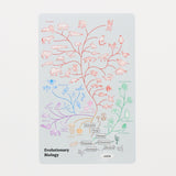 STUDY HOLIC Clear Bookmark / GreenFlash - bungu