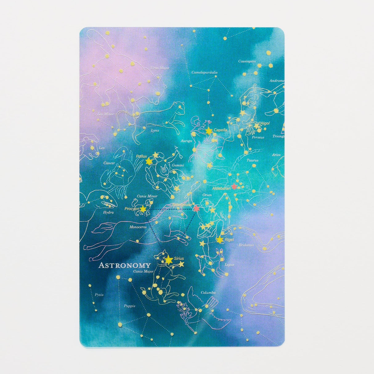 STUDY HOLIC Clear Bookmark / GreenFlash - bungu