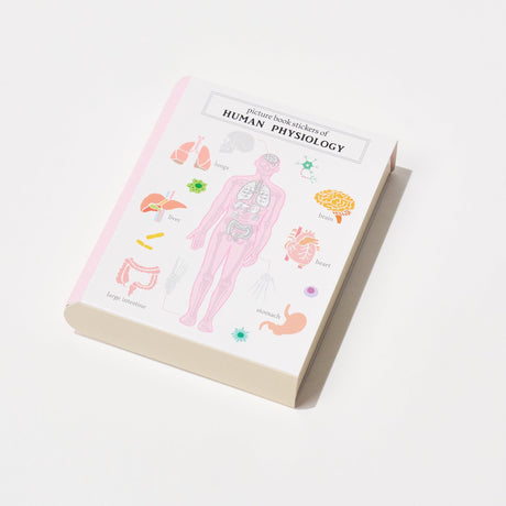 STUDY HOLIC Flake Stickers with Encyclopedia Case / GreenFlash - bungu